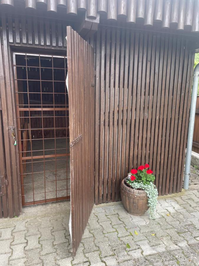 Apartma Sohen