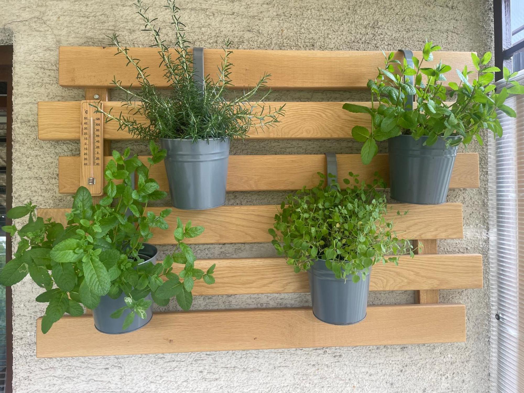 Apartma Sohen Apartment *